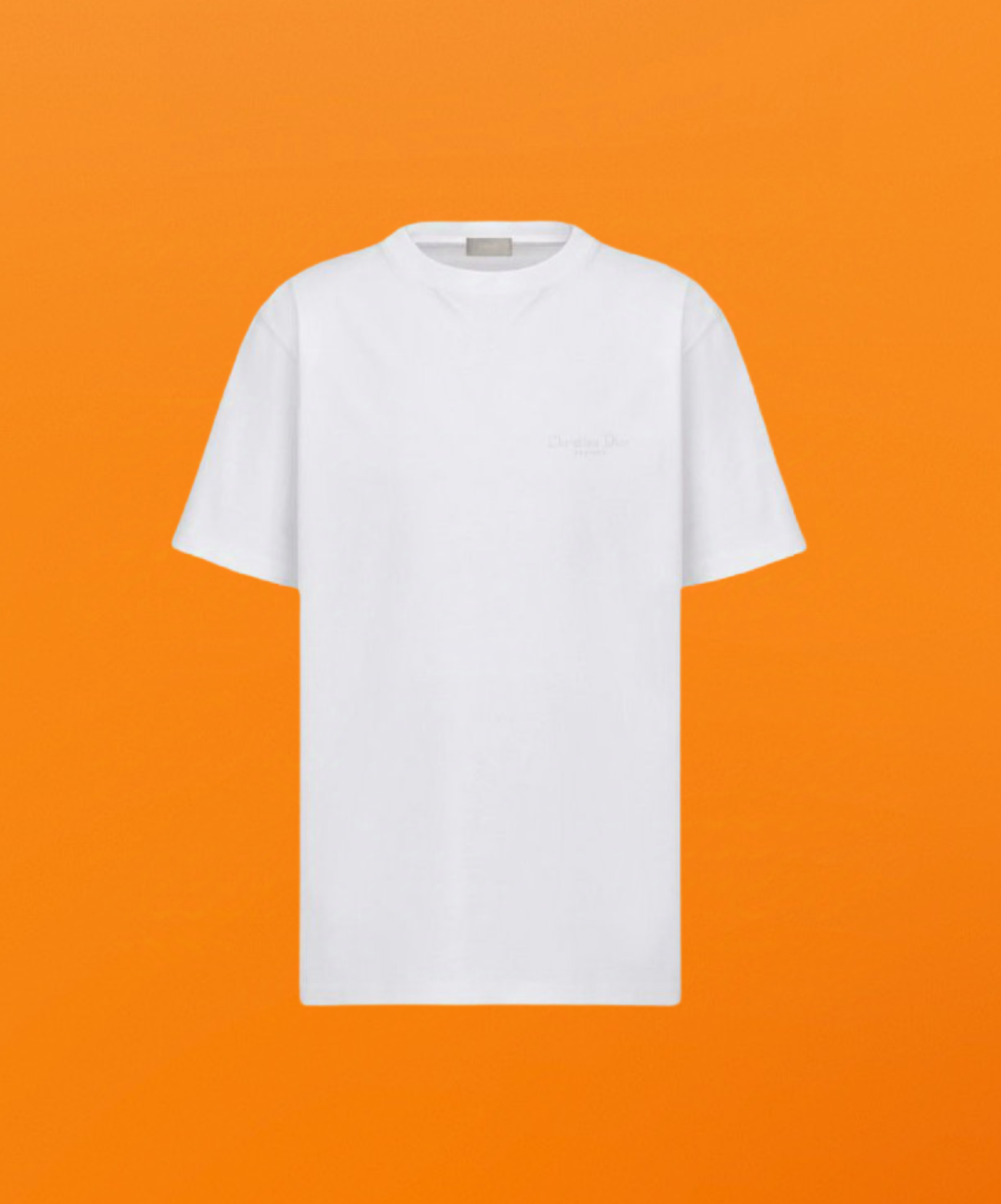 Dr chest letter embroidery short sleeve white <span class="brand-imgs DIOR"></span>