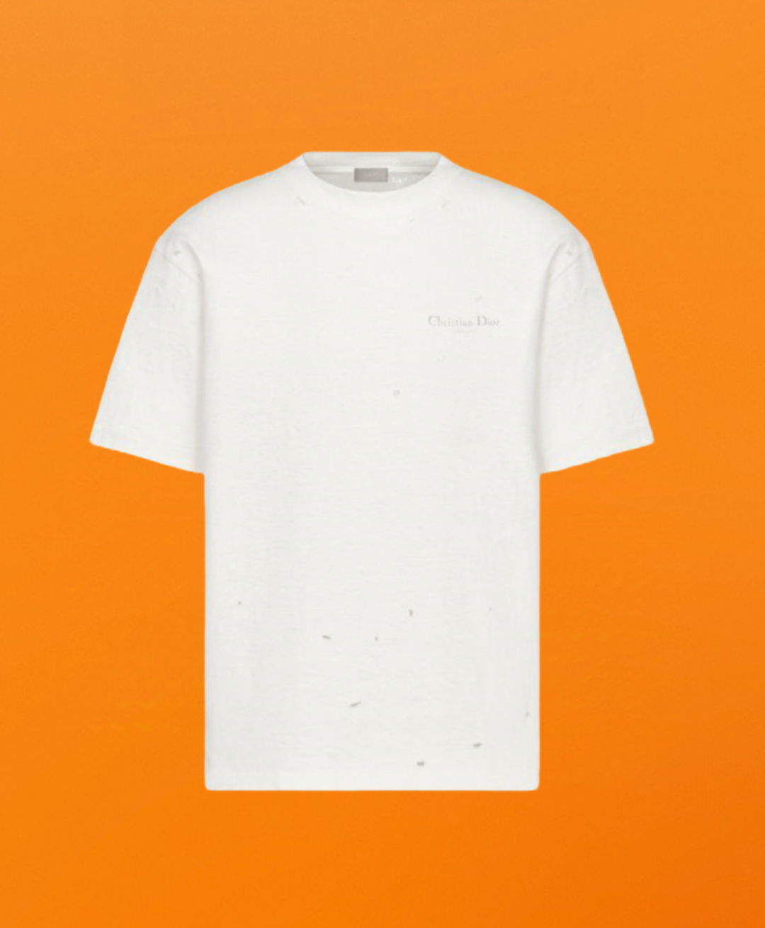 Dr small letter whole letter print Short sleeve white <span class="brand-imgs DIOR"></span>