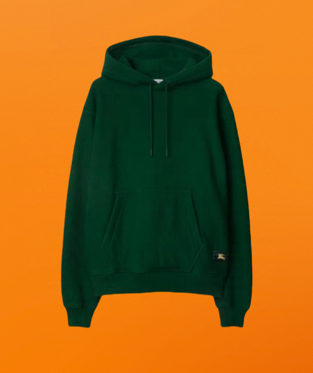 Equastrain logo patch jersey hoodie green<span class="brand-imgs BB"></span>