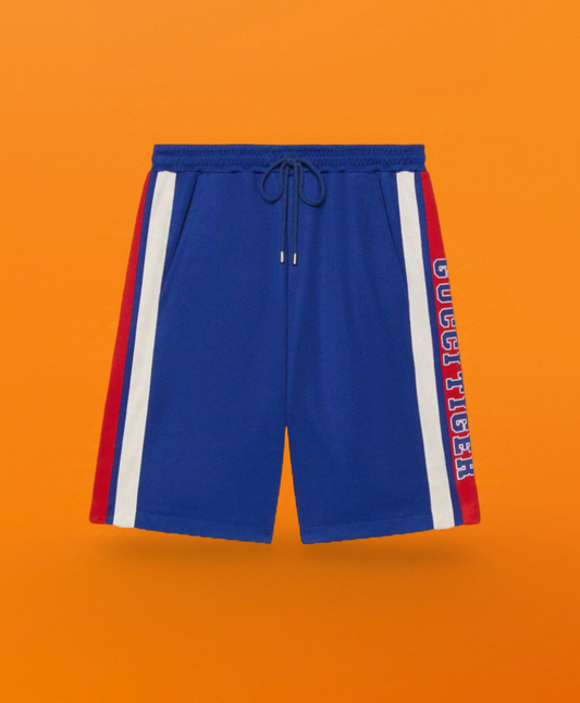 Blue shorts<span class="brand-imgs GUCCI"></span>