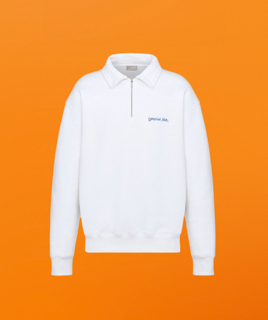 D small letter front zipper sweatshirt <span class="brand-imgs DIOR"></span>