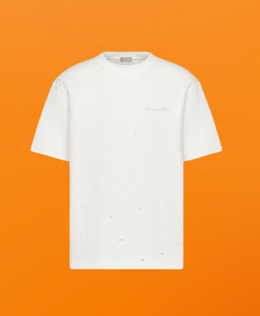 Dr small letter whole letter print Short sleeve white <span class="brand-imgs DIOR"></span>