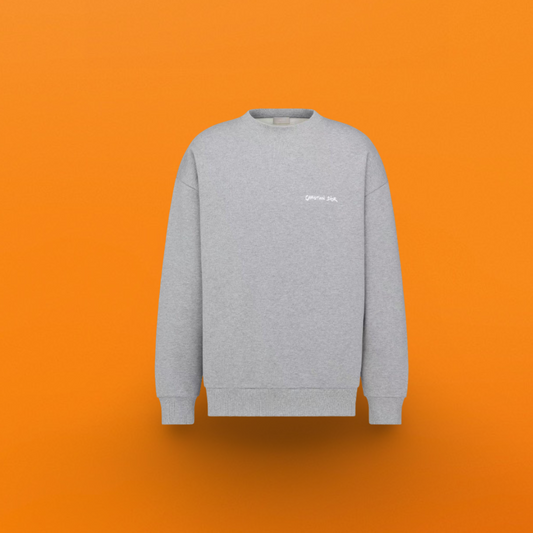Half zip sweatshirt grey <span class="brand-imgs DIOR"></span>